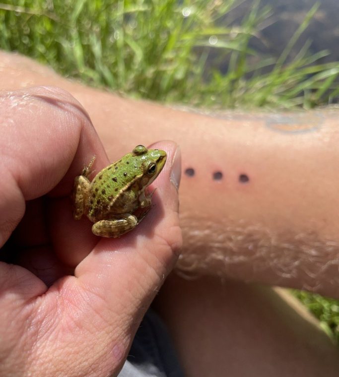 Kambo Practitioner Training